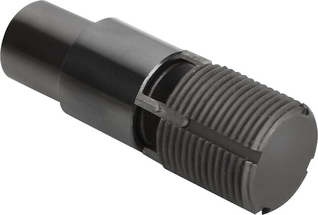 Exemplarische Darstellung