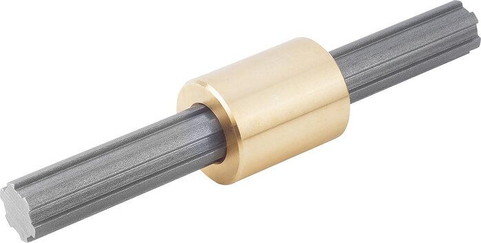 Exemplarische Darstellung