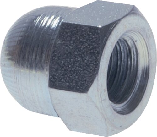 Zgleden uprizoritev: Cap nut DIN 1587 (galvanised steel 6)