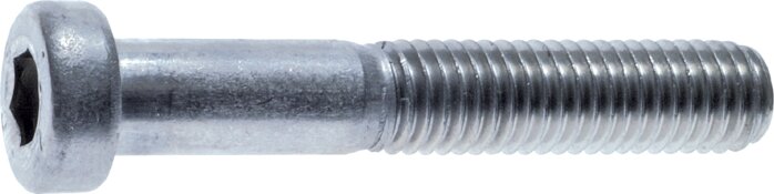 Exemplary representation: Hexagon socket screw DIN 6912 (galvanised steel 8.8)