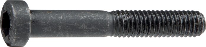 Exemplary representation: Innensechskantschraube DIN 6912 (Stahl blank, schwarz)