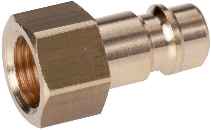 Exemplary representation: Coupling plug with female thread, brass