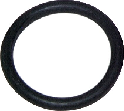 Exemplarische Darstellung: O-Ring für Gartenschlauch-Kupplungsstecker
