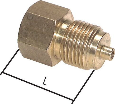 Zgleden uprizoritev: Pressure gauge reducer with hexagon, brass