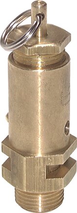 Exemplary representation: Adjustable safety valve (G 3/8" & G 1/2")