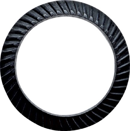 Voorbeeldig Afbeelding: Schnorr-veiligheidsschijf (staal zwart gemaakt)