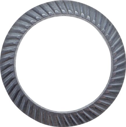 Zgleden uprizoritev: Schnorr safety disc (stainless steel A2)