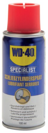 Exemplary representation: WD-40 locking cylinder spray 100 ml