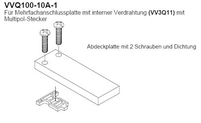 Exemplarische Darstellung: VVQ100-10A-1