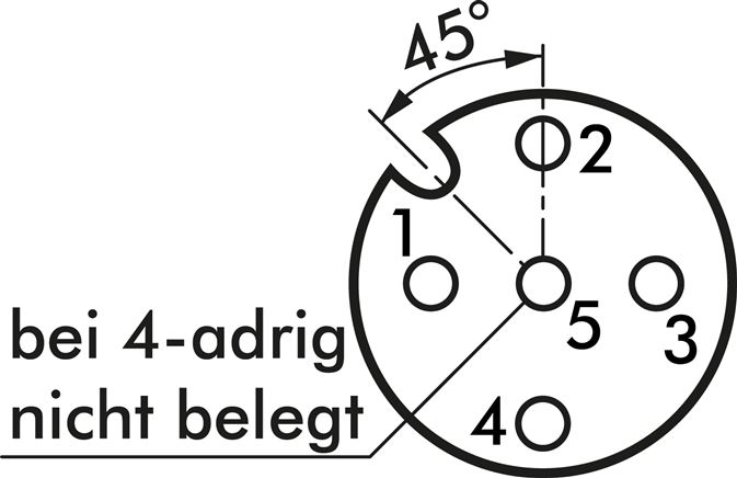 Schaltsymbol: M 12-Buchse (5-polig)