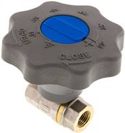Soft close brass ball valve, Rp 1/4", 0 do 50bar, DVGW