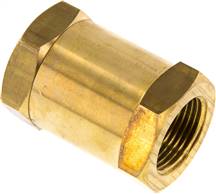 Check valve (brass) G 1" (IG), PN 16