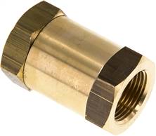 Check valve (brass) G 3/4" (IG), PN 16